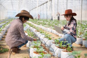 Taiwan township partners with Dingalan to strengthen collab on agriculture, fisheries, tech transfer